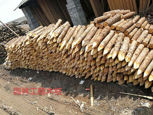 園林綠化樁
